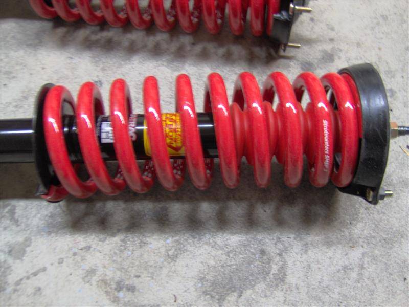 springs 007 (Medium).jpg