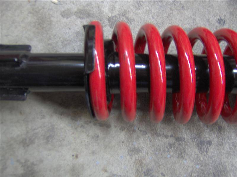 springs 008 (Medium).jpg