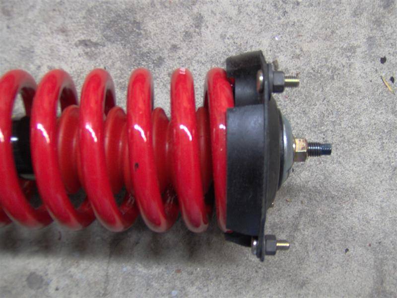 springs 010 (Medium).jpg