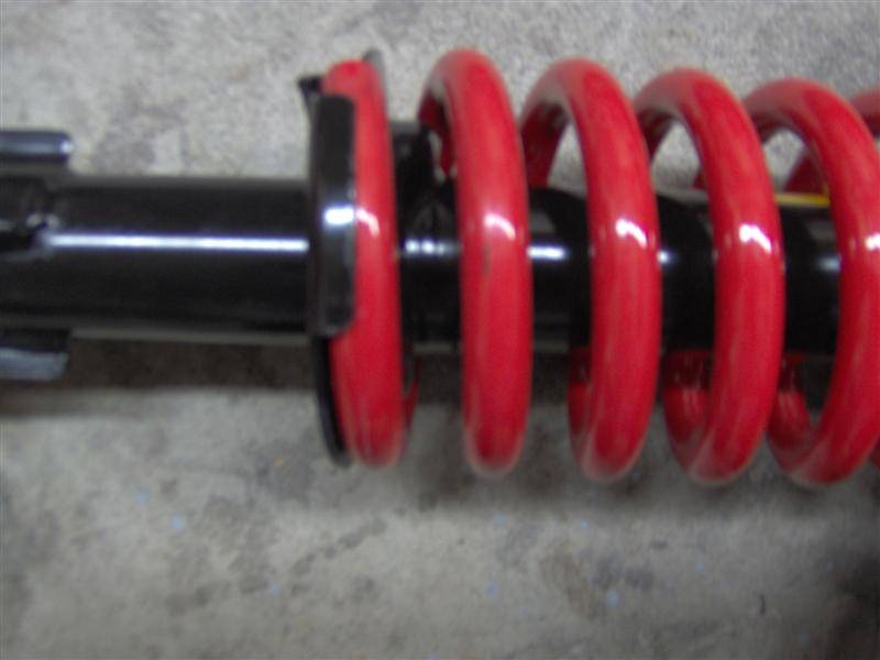 springs 012 (Medium).jpg