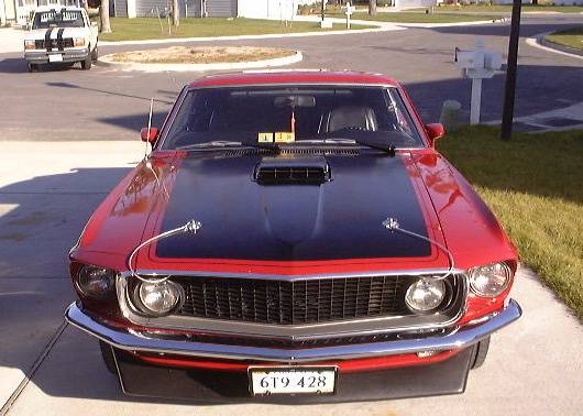 stang1.jpg
