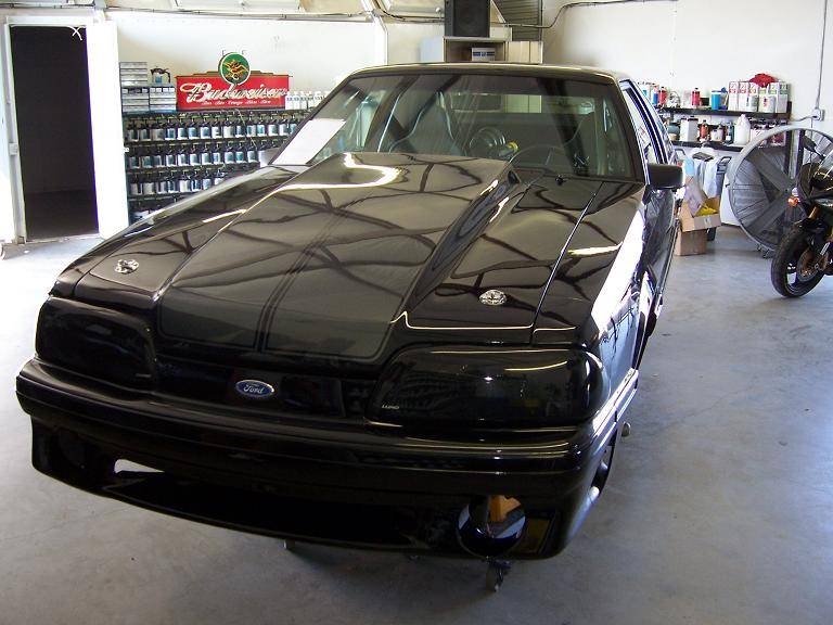 stang3.JPG
