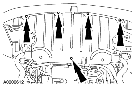 step5.gif