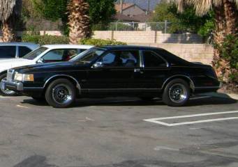SteveS84240.jpg