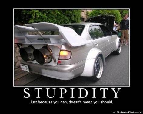stupidity3.jpg