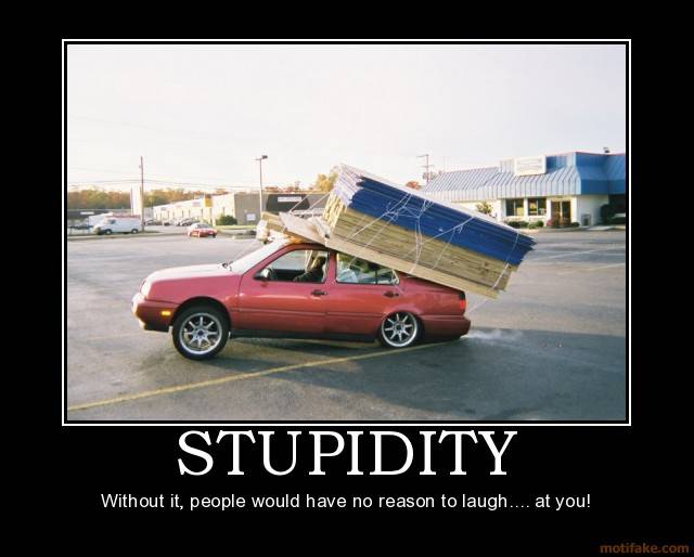 stupidity5.jpg