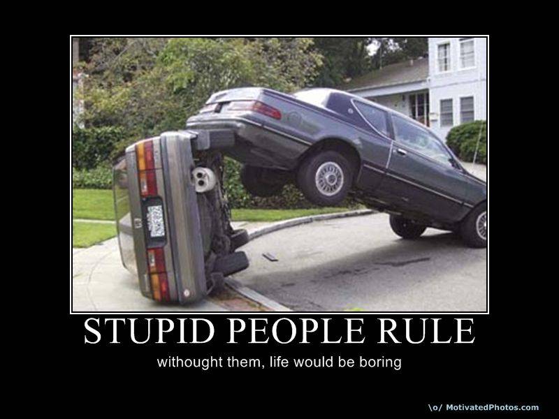 StupidPeople.jpg