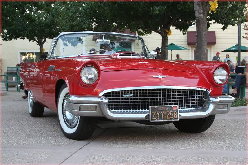 T-bird.jpg
