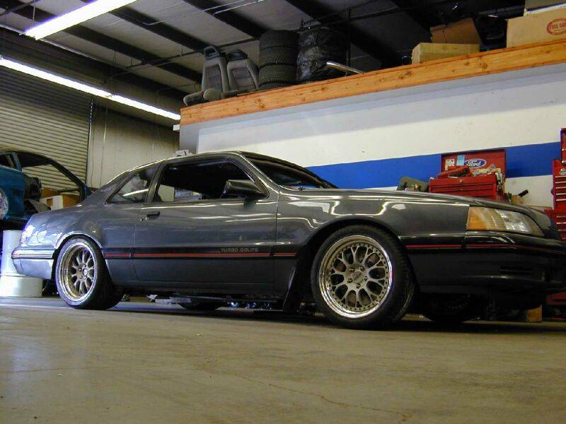 tbird(1).jpg