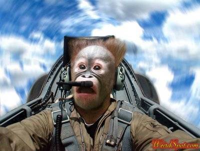 testpilot[1].jpg