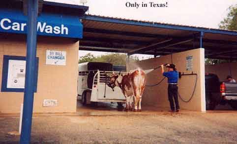 texas_carwash.jpg