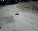 th_0326081503.jpg