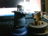 th_CAM00009.jpg