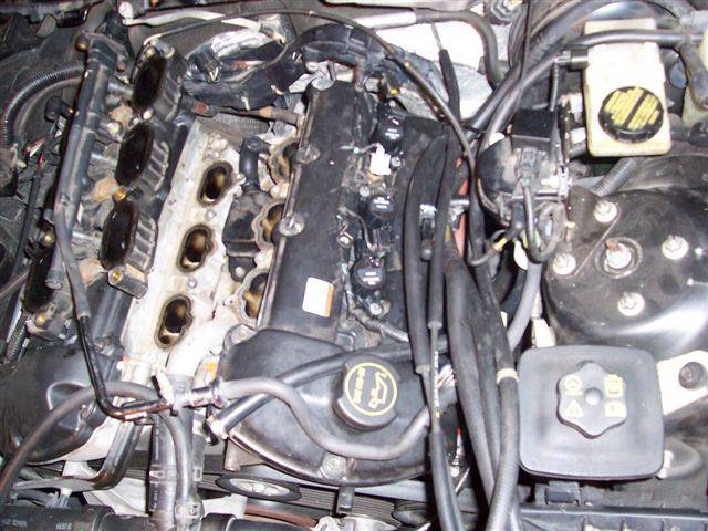 the guts and bolts.jpg