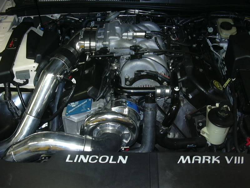 themarksc003.jpg