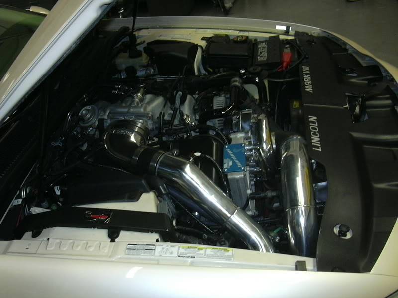 themarksc005.jpg