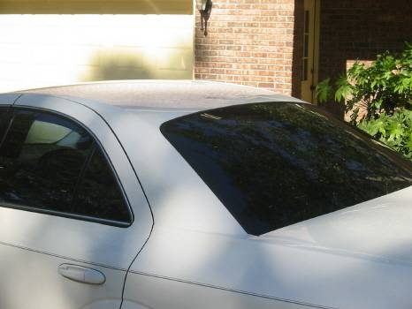 tint%201.JPG