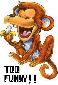 too-funny-monkey-ag1.gif