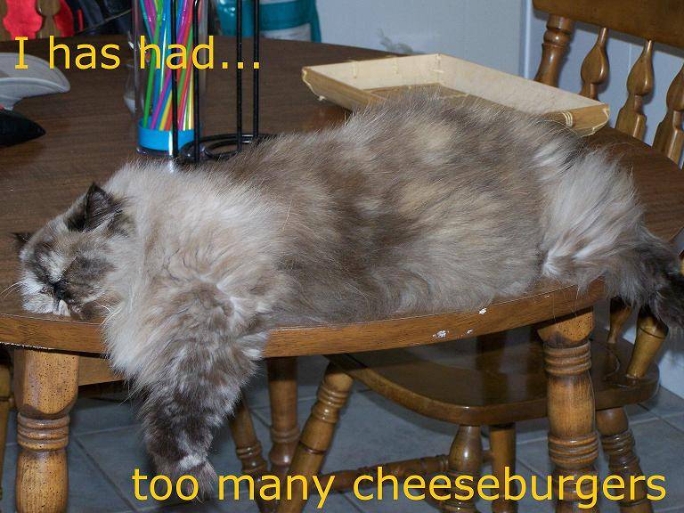 too_many_cheeseburgers_by_tjaybrandon.jpg