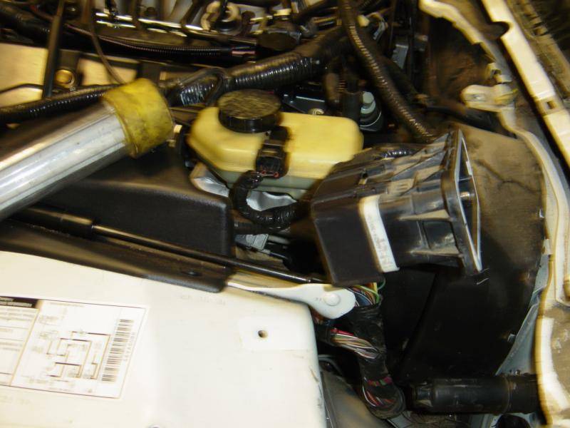 transmission change 005.jpg