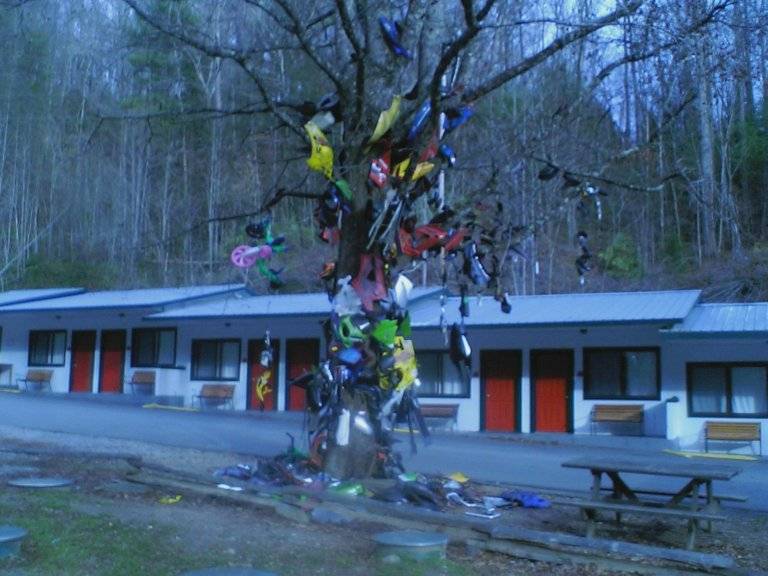 Tree_of_shame.jpg