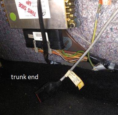 trunk 2.jpg