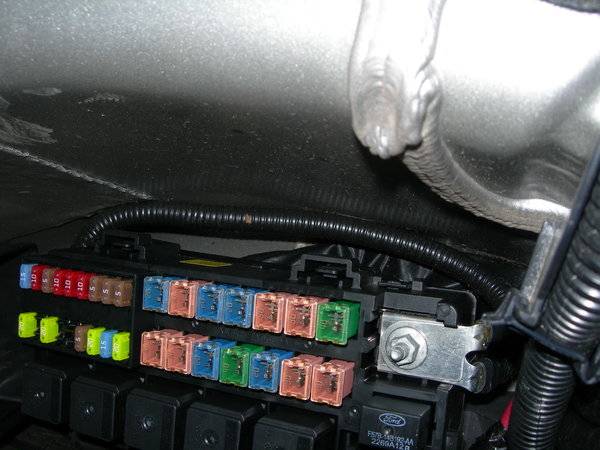 Trunk-Batt 1.JPG