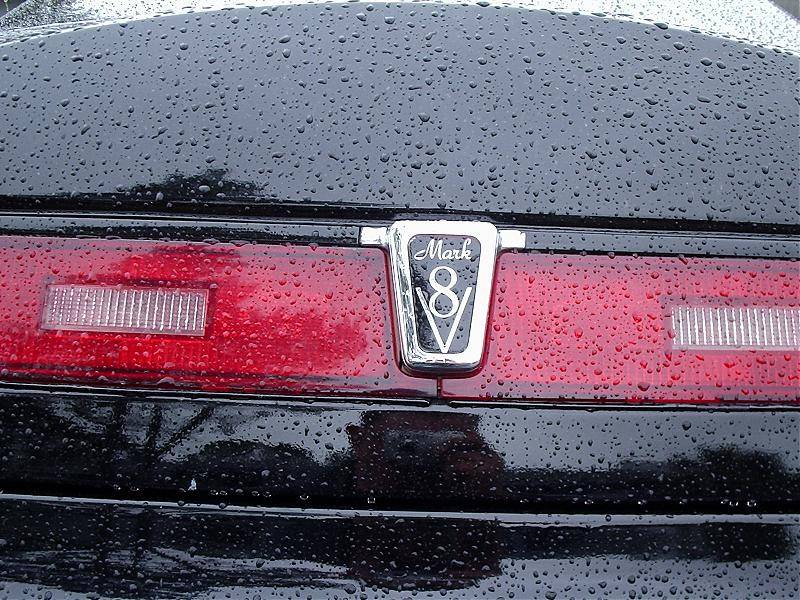 trunk emblom 003.jpg