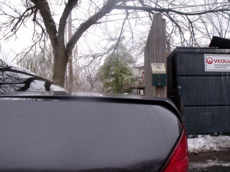 Trunk.jpg