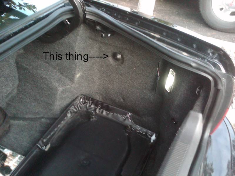 trunk part 1.jpg