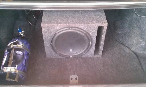 Trunk1.jpg