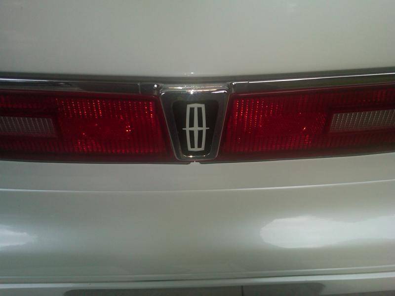 trunk1.jpg