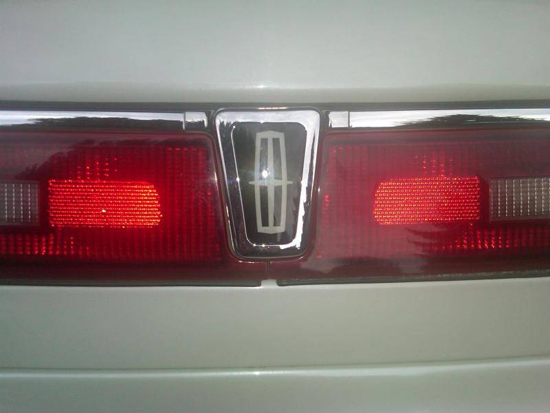 trunk2.jpg