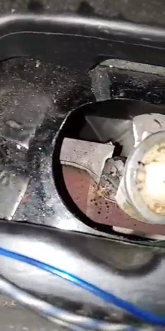 VideoCapture_20220809-092602.jpg