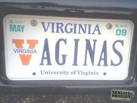 virginia-license-plate-17184-1254241866-17.jpg