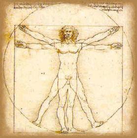 vitruvian man.jpg