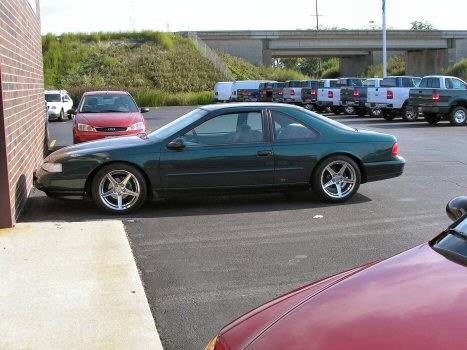 web size eric t bird new 18s 4.jpg