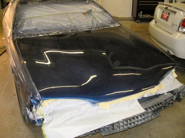 web size new paint 054.jpg