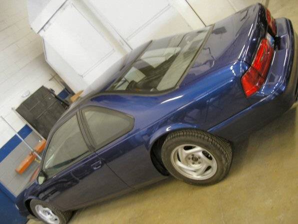 web size new paint 099.jpg