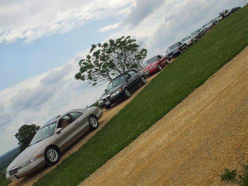 web size the cruise 025.jpg