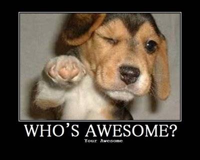 Whos-Awesome Dog.jpg