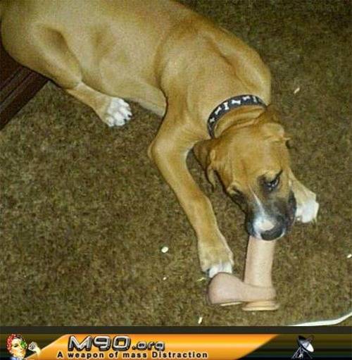 wife will be pissed.jpg