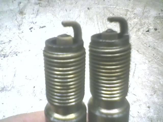 WornPlugs.jpg