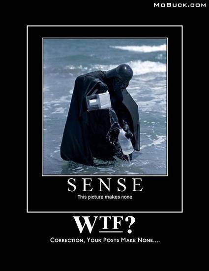 WTF.JPG