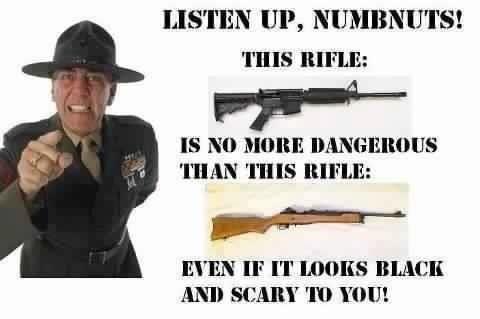 numbnuts scary rifle.jpg
