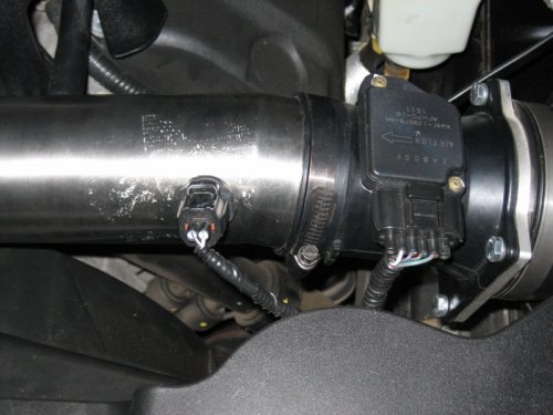 closeup.jpg