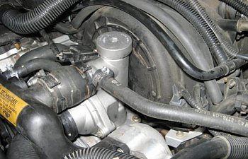IMG_6306.jpg