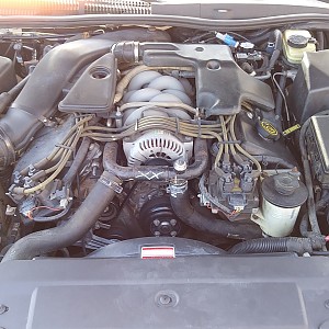 1996LincolnMarkVIII (33).jpg