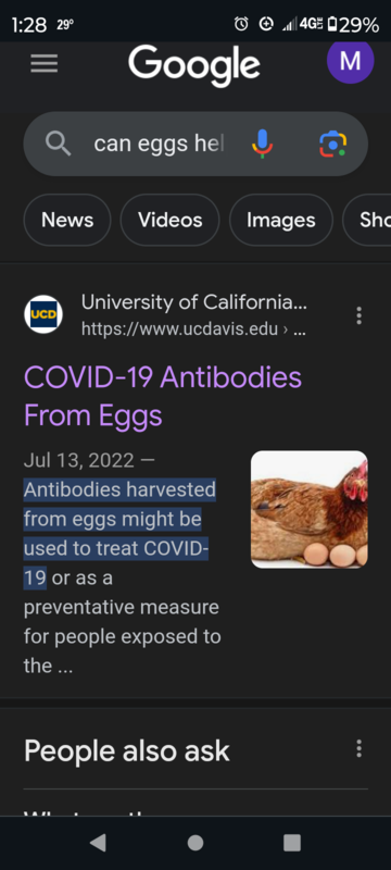 Screenshot_20231128-012838.png