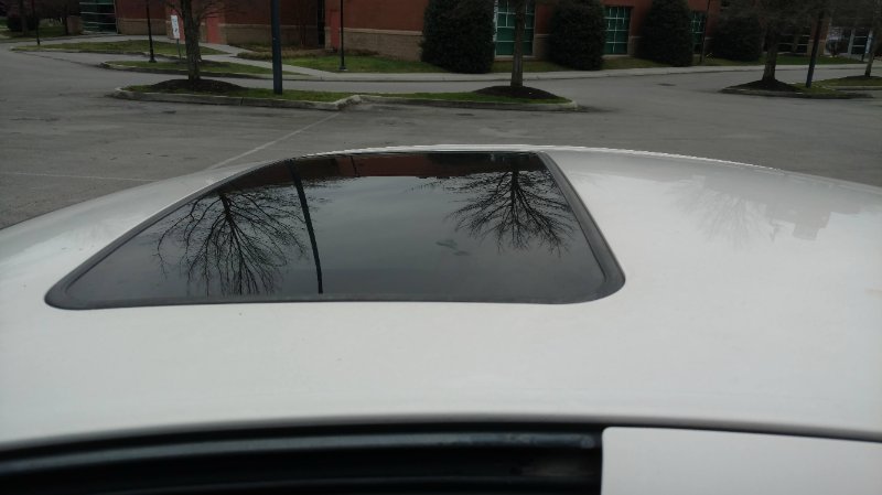 IMG_20200321_170624054.jpg